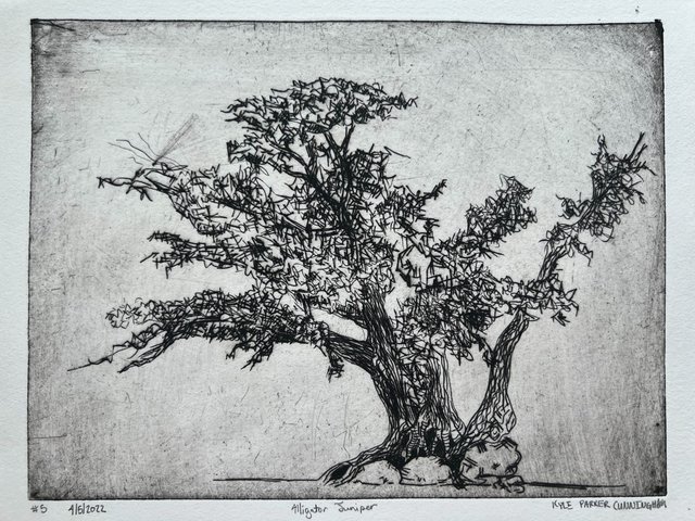 Close-up detail of the Alligator Juniper drypoint print showing the expressive scratched linework of the twisted trunk and tangled branches against a softly toned plate background.