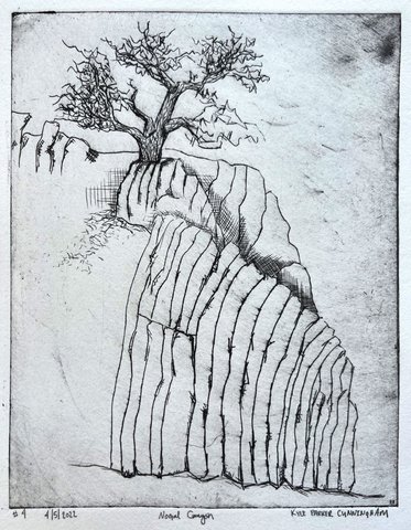Second print of the Nogal Canyon drypoint in black ink without hand-coloring, showing the same layered canyon rock formation and tree in a slightly different impression with softer tonal values.