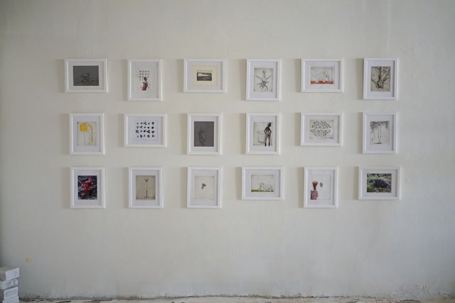 Installation view of eighteen small white-framed prints hung in three even rows of six on a white plaster wall, the images ranging from botanical studies to figures and abstract marks.